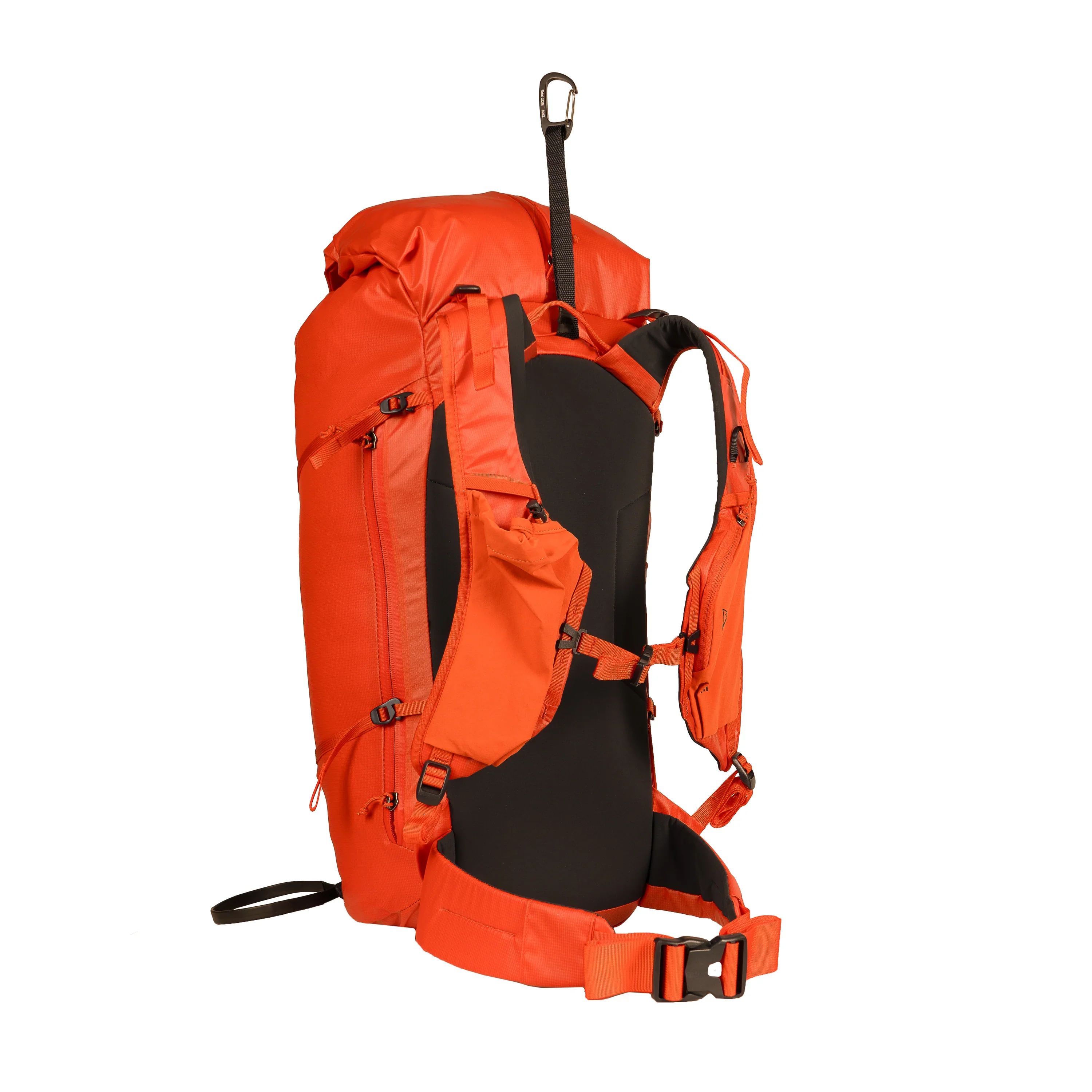 Blue Ice Firecrest - Image 4